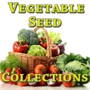 Vegetable Seed Collections