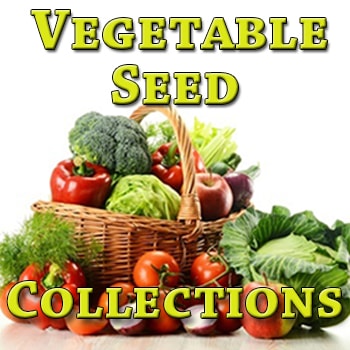 Vegetable Seed Collections