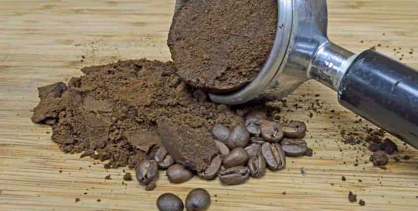 A coffee grinder and some beans on the ground