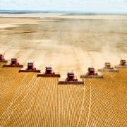 Pack of Harvesters