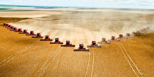 Pack of Harvesters