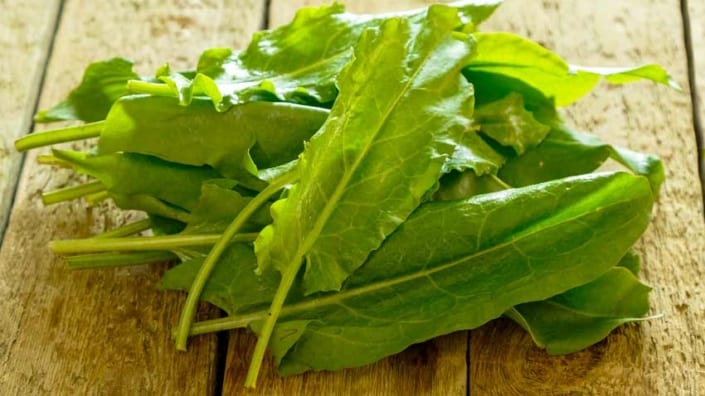 Large-Leaf-Sorrel A pile of green leafy vegetables on top of a wooden table.