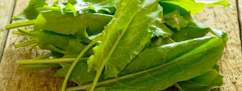 A pile of green leafy vegetables on top of a wooden table.