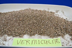 Vermiculite A plant growing in the dirt on a sunny day.