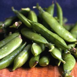 Heirloom Peas Heirloom Peas
