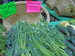 Slow Food Slow Food