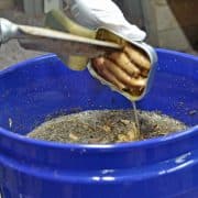 Adding Sardines A person is using tongs to stir something in a bowl.