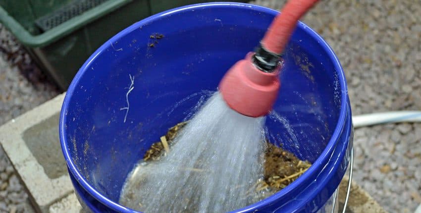 A blue bucket with a pink handle and a hose.