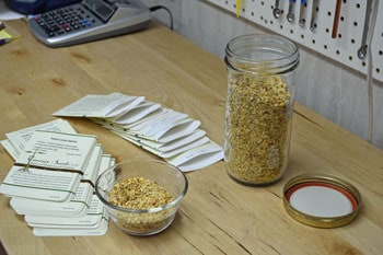 Hand Packing Melrose Pepper Seed A plant growing in the dirt on a sunny day.