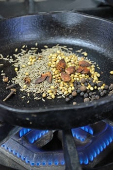 Toasting Spices A plant growing in the dirt on a sunny day.