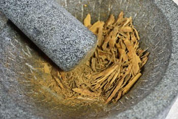 Grinding Spices A plant growing in the dirt on a sunny day.