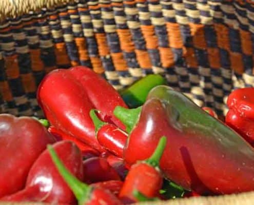A basket of red peppers and green bell peppers.