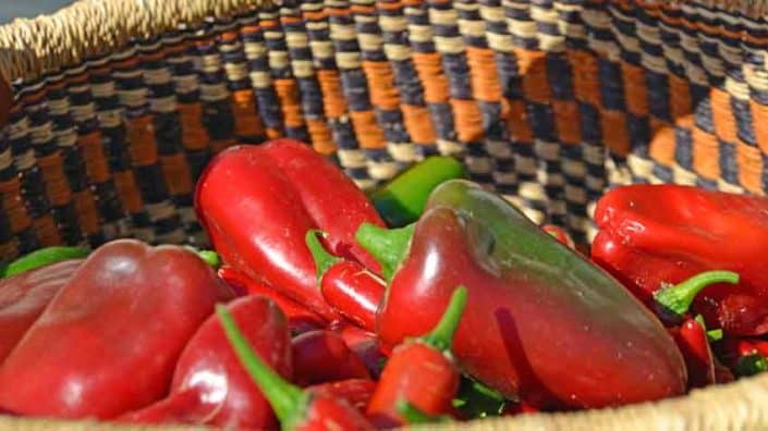 Basket of Peppers A basket of red peppers and green bell peppers.