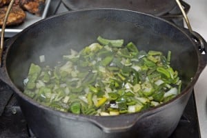 A plant growing in the dirt on a sunny day.