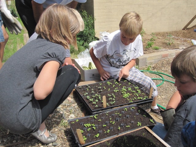 Humboldt Elementary School Garden Humboldt Elementary School Garden