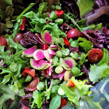 Fall Garden Salad Fall Garden Salad