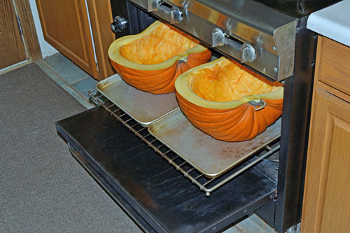 ‘roasting the Pumpkins 'roasting the Pumpkins