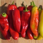 Hungarian Hot Wax Pepper2