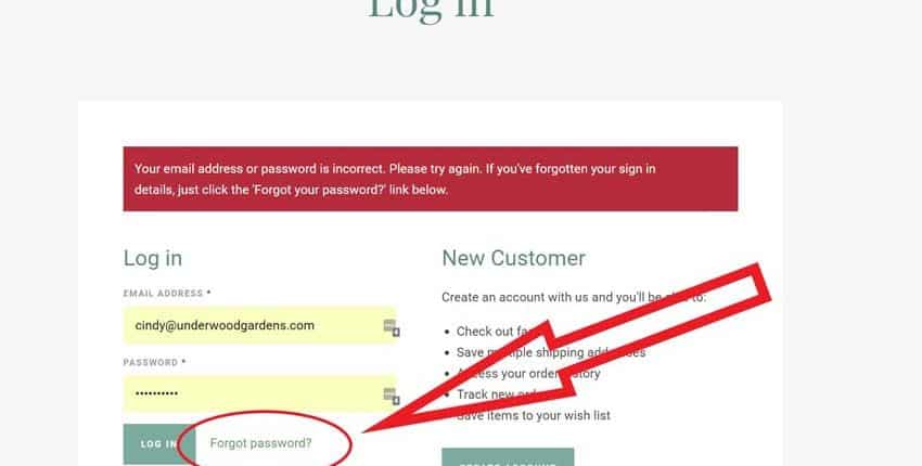 A screenshot of the new customer page.