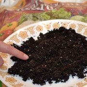 Square Foot Potting Soil Closeup Square Foot Potting Soil Closeup