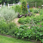 Seed Savers Exchange Garden Seed Savers Exchange Garden