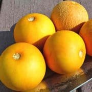 Ripe Vine Peaches A bunch of oranges are on the table