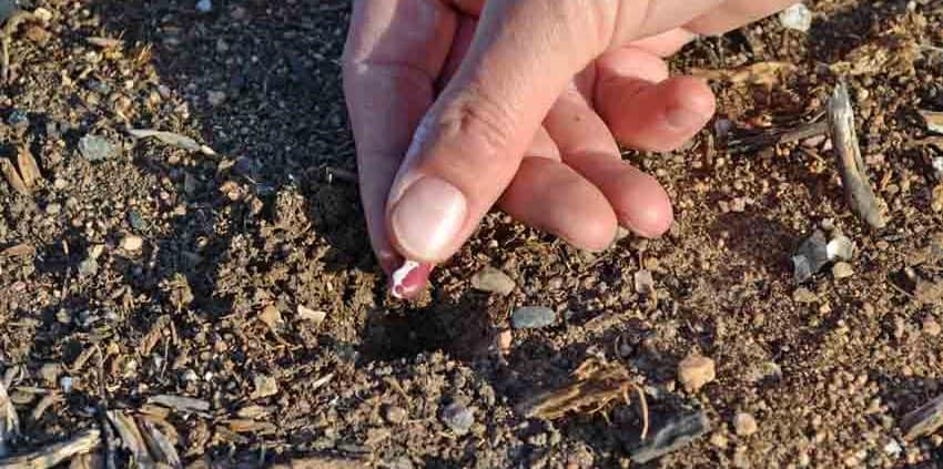 A person touching the ground with their fingers.
