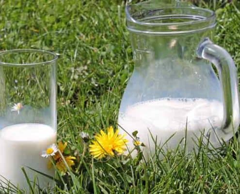 A couple of glasses sitting in the grass.