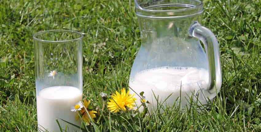 A couple of glasses sitting in the grass.