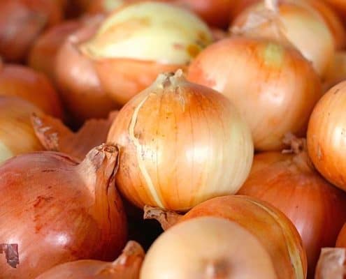 A close up of onions in the middle of a pile