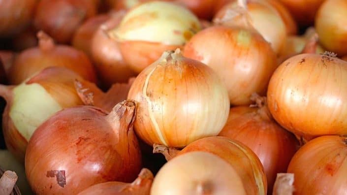 Candy Sweet Spring Onions A close up of onions in the middle of a pile