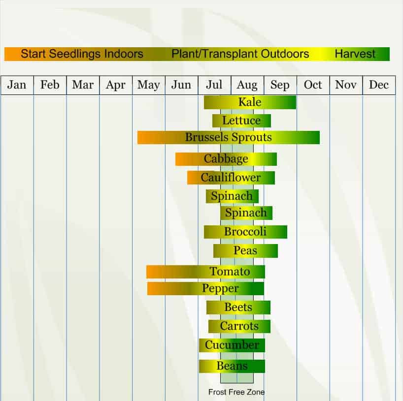 Zone 3 Planting Guide Zone 3 Planting Guide