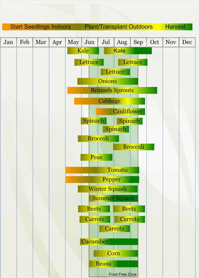 Zone 4 Planting Guide A chart of the time each day in different countries.