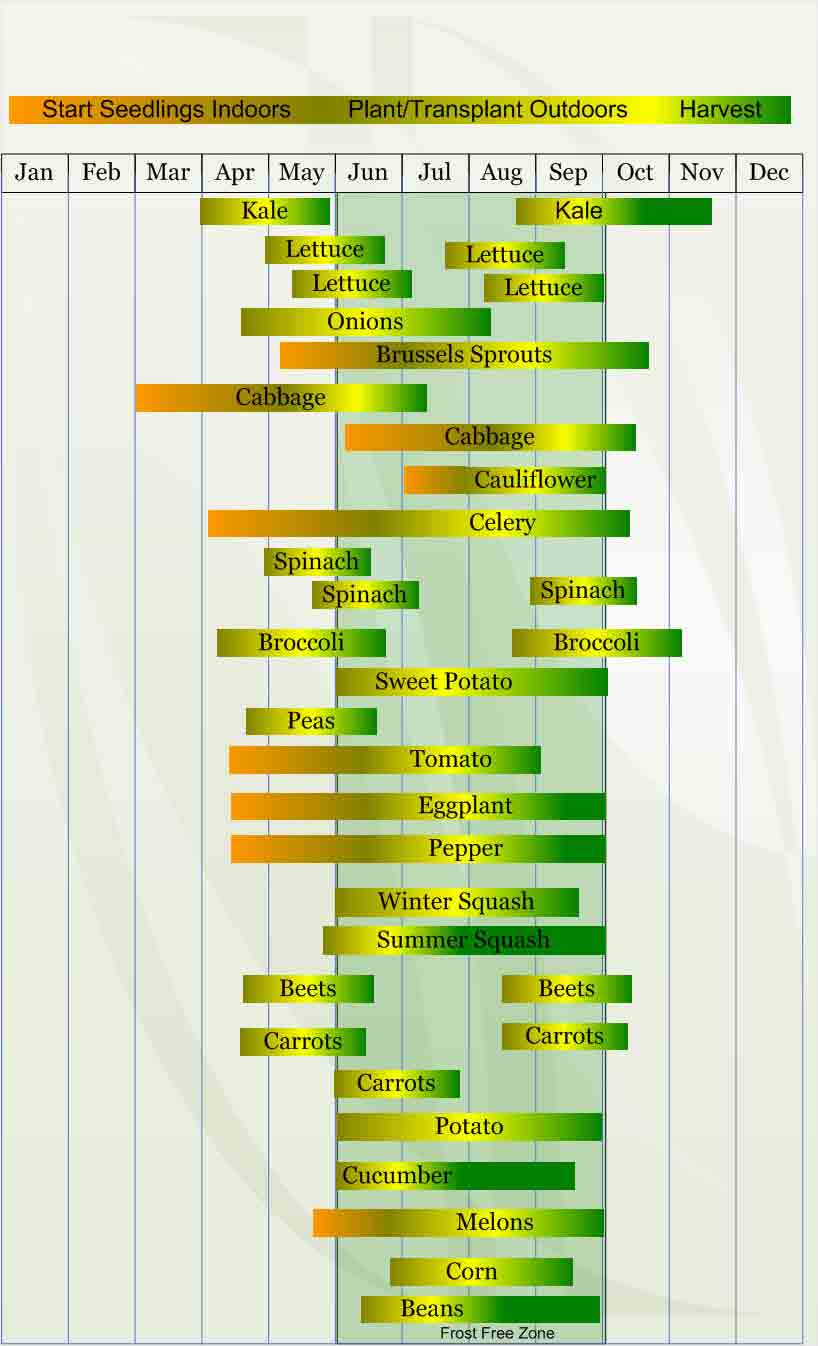 Zone 5 Planting Guide A green and yellow strip with many different words
