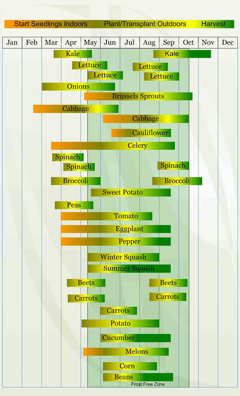 A green and yellow poster with many lines