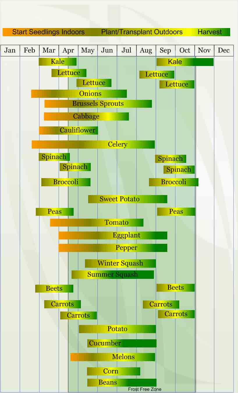 Zone 7 Planting Guide A green and yellow vertical line with many lines