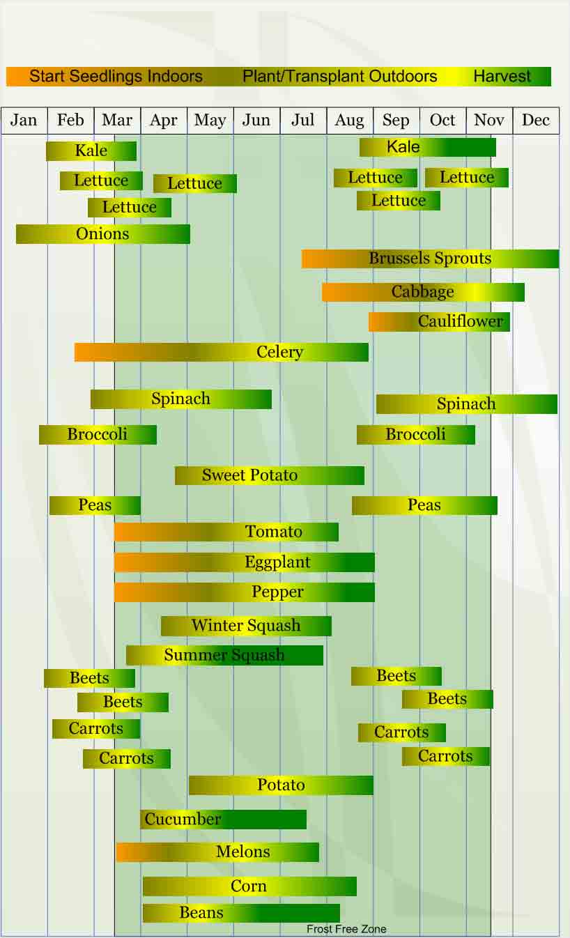 Zone 8 Planting Guide A green and yellow chart with many lines