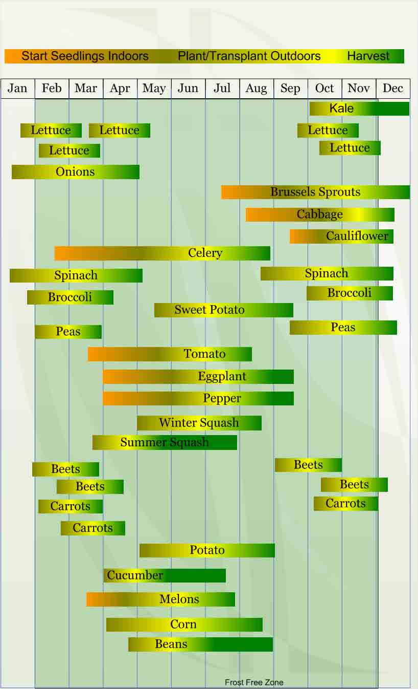 Zone 9 Planting Guide A green and yellow chart with many different things in it