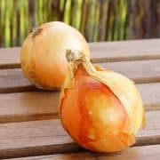 Two onions are sitting on a table outside.