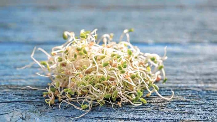 Red Clover Sprouts A pile of sprouts sitting on top of a wooden table.