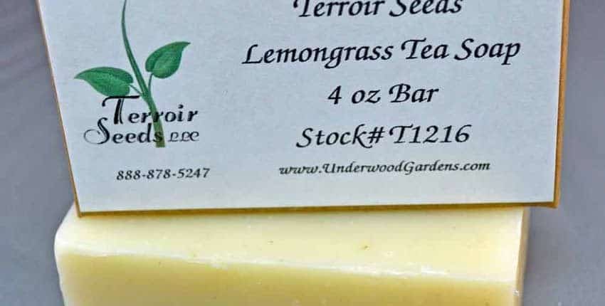 A close up of the back of a business card