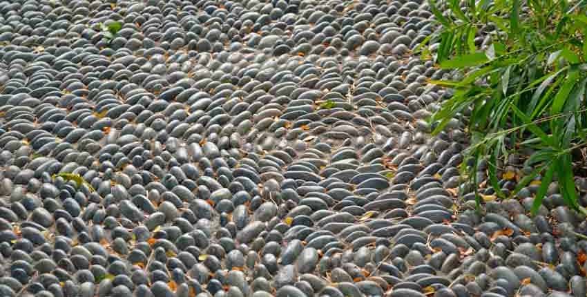 A close up of many rocks on the ground