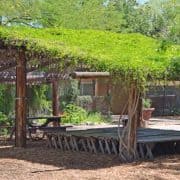 Living shade structure A wooden structure with grass on top of it.