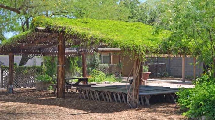 Living shade structure A wooden structure with grass on top of it.