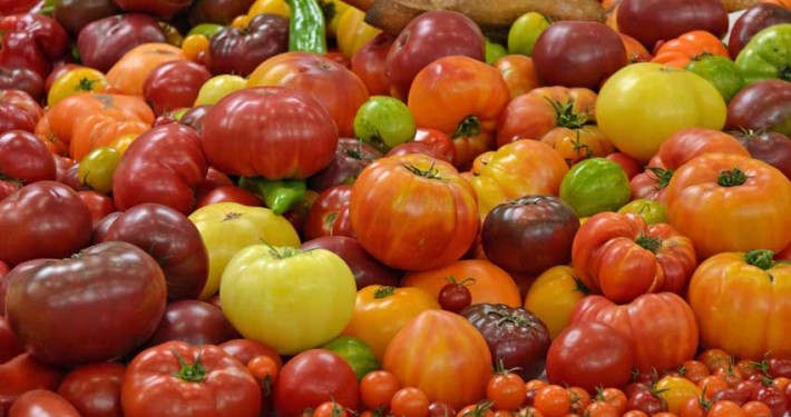 A pile of tomatoes in various colors and sizes.