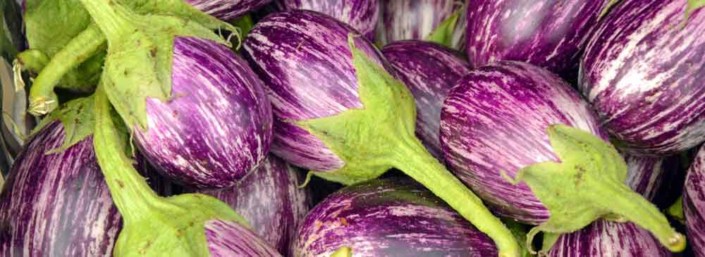 Heirloom Eggplant A close up of purple flowers with green stems.