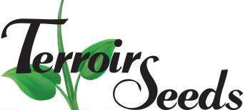 Terroir Seeds Main Logo Terroir Seeds | Underwood Gardens