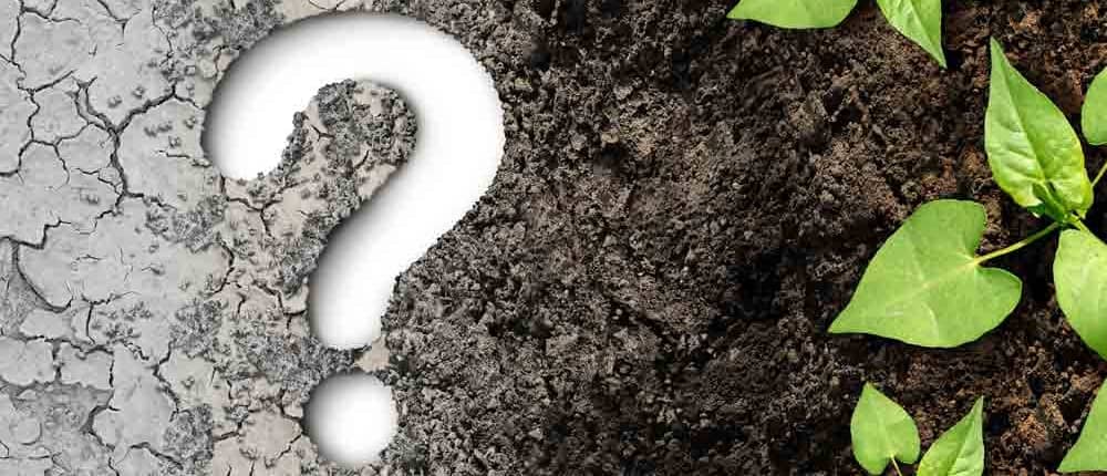 Garden-Q-&-A A question mark sitting on top of some dirt.