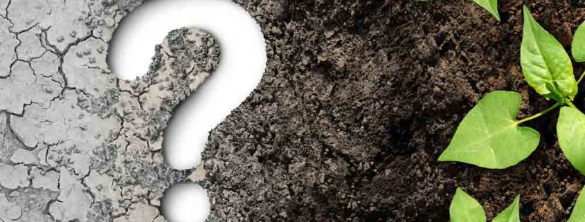 A question mark sitting on top of some dirt.