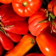 A close up of tomatoes and other vegetables